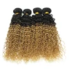 Professional Factory Specialize In Unprocessed Virgin Human Hair Products wet kiss hair