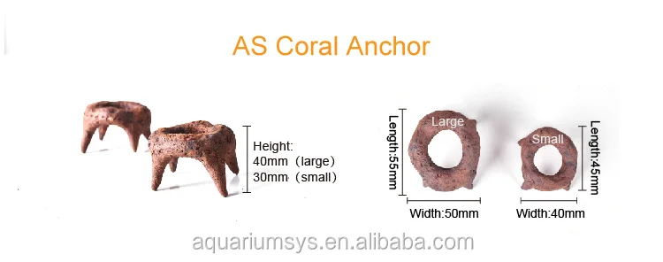 AS Coral Anchor