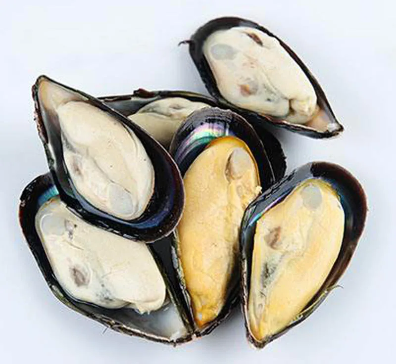 
Frozen Cooked Half Shell Mussel 