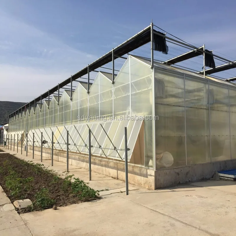 Polycarbonate Greenhouse & Used Greenhouse Frames For Sale Buy