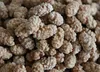 Coffee coated split Flavour Peanuts 1/8