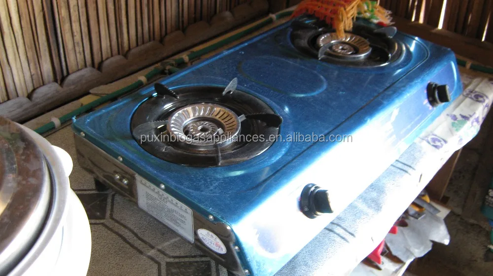 Best Price Stainless Steel Double Burner House Cooking Biogas Stove