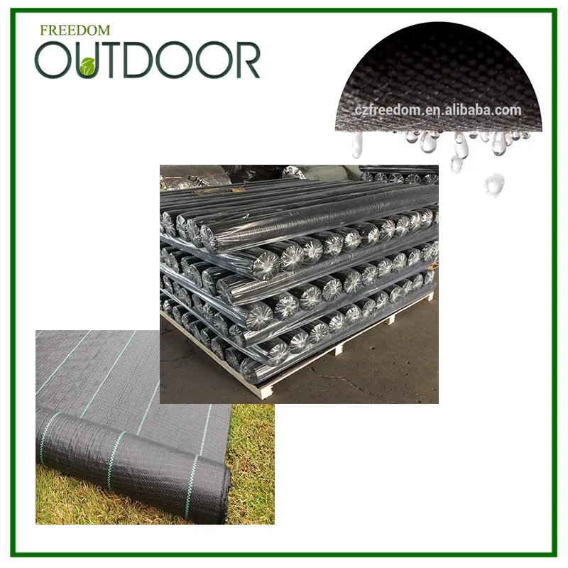 Agricultural Greenhouse Black Pp Plastic Ground Cover Buy Plastic