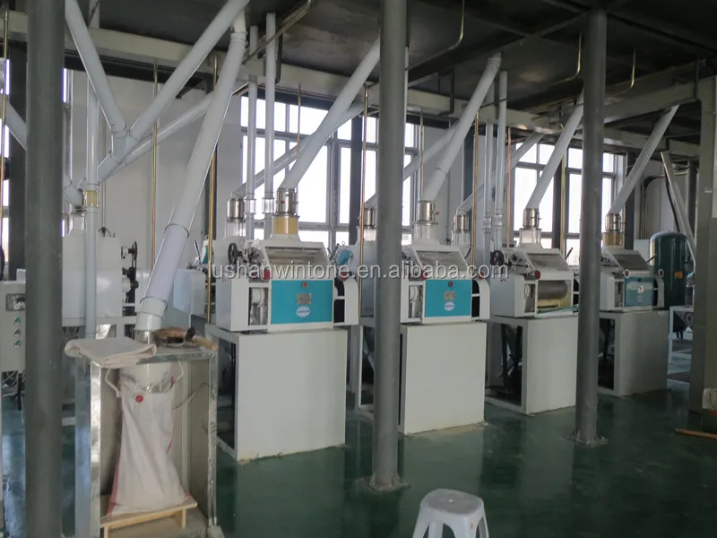 lentil processing 1.jpg