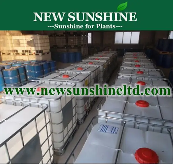 1000L IBC Container.jpg