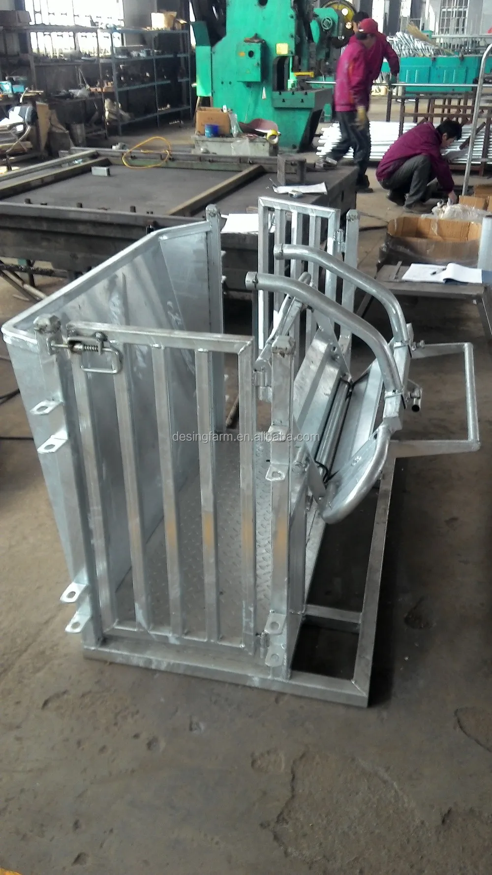 galvanized sheep turnover crate catcher for vet