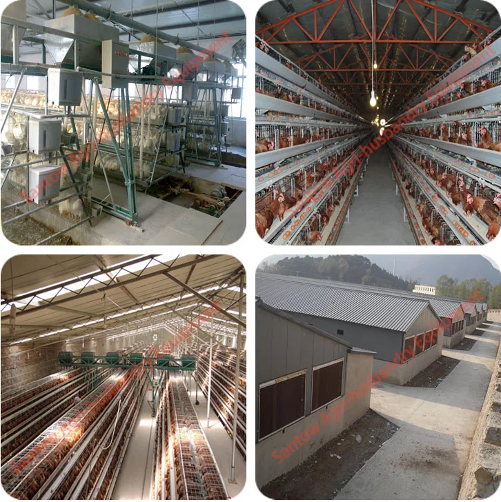 Hot Galvanized Chicken Poultry Cages Cold Galvanized Chicken Layer Cage Best Quality For Sale Nigeria Africa