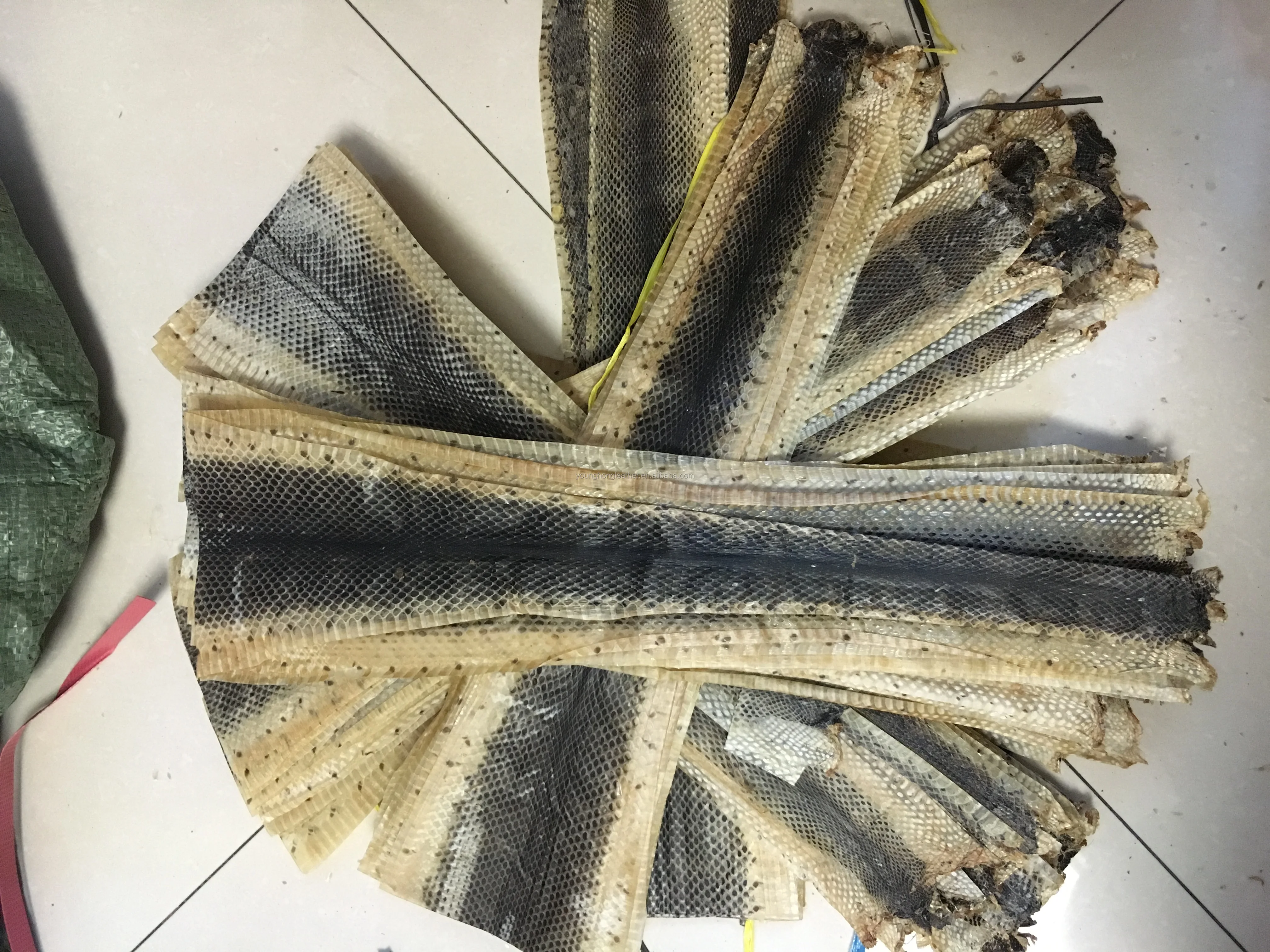 干生水蛇皮为鞋皮革
