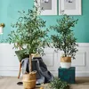 Mini Artificial Olive Trees, Small Artifical Olive Trees Plants