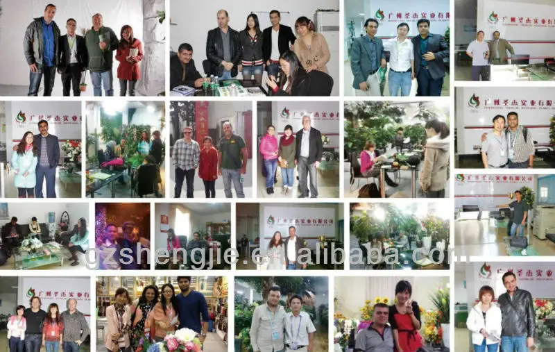 internations market.jpg