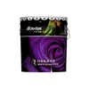 Adedas mildew proof purify air Spray paint for Wall coating