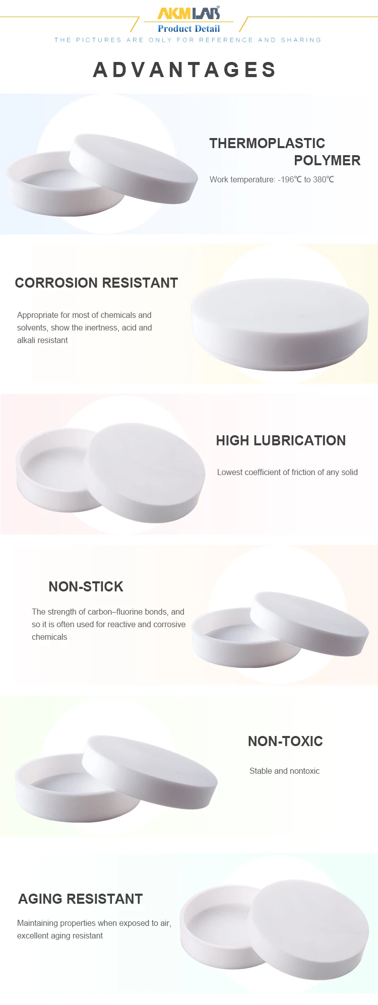 PETRI-DISHES_03.jpg