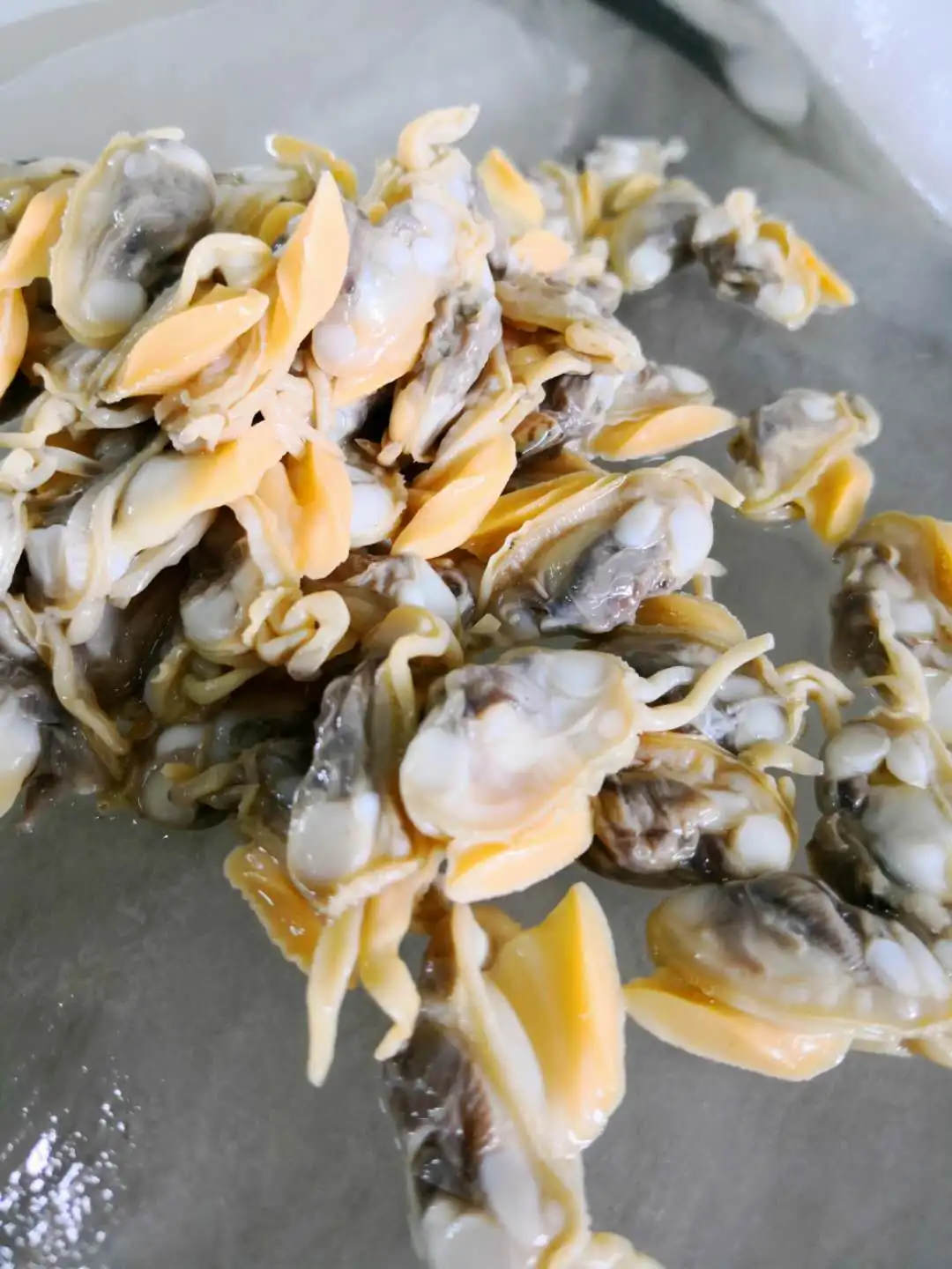 
Good Sale Frozen Cooked Oil Clams Meat Indonesia Seafood 