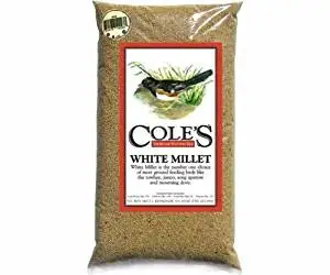 2 PACK White Millet 10 lbs. + Frt