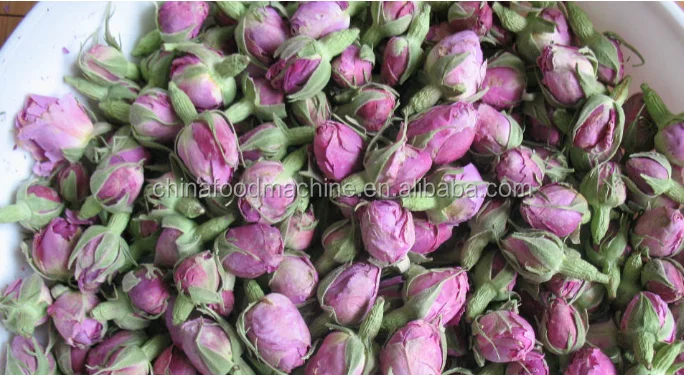 freeze dryer1 (1).png