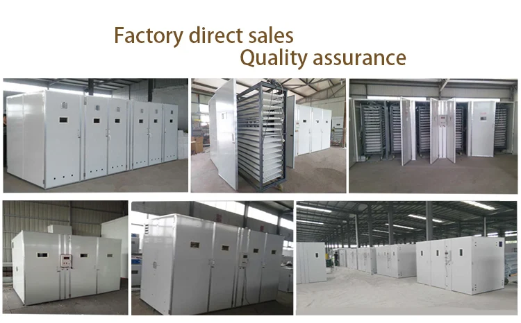 Animal  Feed Processing Machines  50kg/h 80kg/h 100kg/h  Fish Pet Cat Dog Food Extruder Processing Machine details