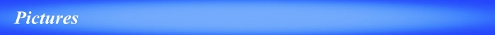 Blue Pictures.jpg
