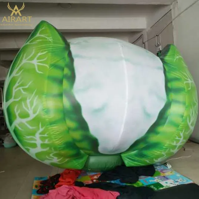 Factory Outlet Giant Inflatable Vegetables,Inflatable Cabbage For ...