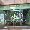 P3.91 transparent display series / Transparent led display / standee display