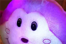 HTB13f8cRXXXXXXTXXXXq6xXFXXXA