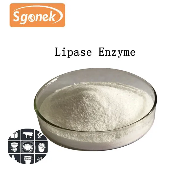 Enzyme Food Additive Cas No. 9001621 Raw Material Lipase Enzyme