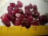 Ruby rough rich red color fire big sizes facet grade premier quality 100% natural afgan region lot