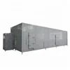 Expensive full automatic frozen fruits and vegetable processing line