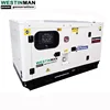 Computer control panel 36kw silent diesel generator 45kva fuel less generator