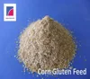 Maize Gluten Feed/Corn Gluten Feed 2019 year new corn