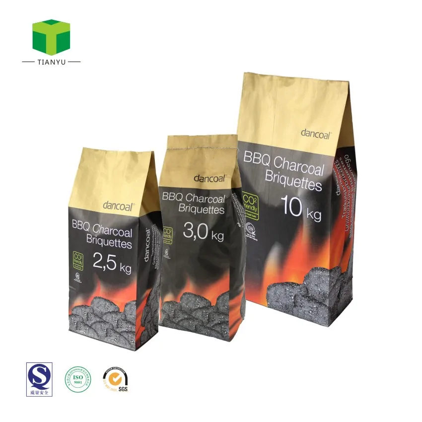 Custom Printed Bbq Kraft Paper Charcoal Packaging Bag 4kg 5kg For