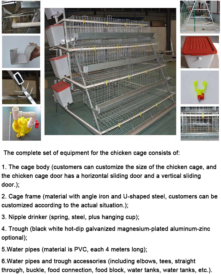 Dimension For 1000 Chicken Layer Cage Buy Dimension For 1000 Chicken
