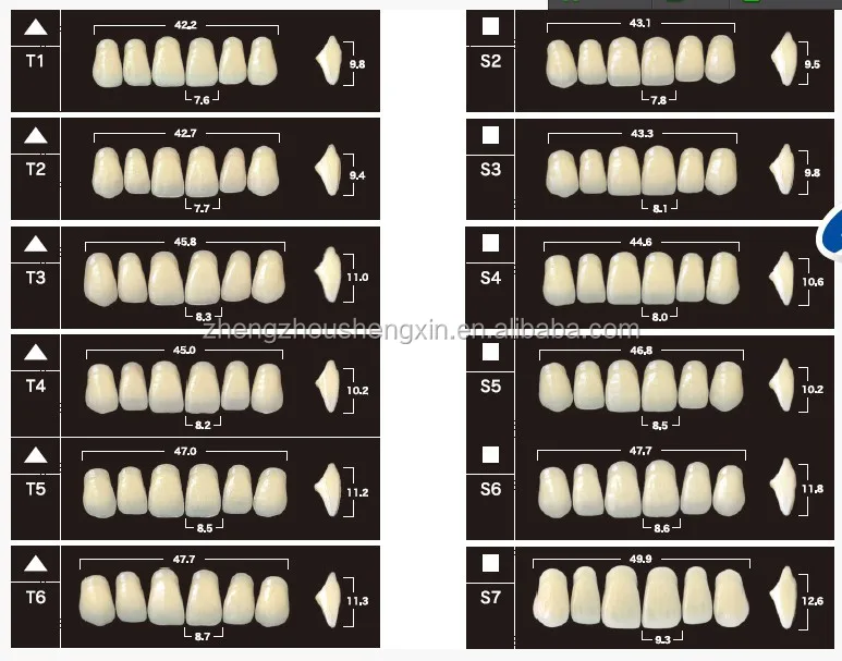 Yamahachi New Ace Teeth/ Composite Resin False Teeth Buy Yamahachi