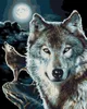 GX 7654 wolf diy coloring by numbers paint set for bedroom decor
