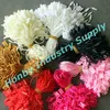 Wholesale Nylon Cord Name Tag String