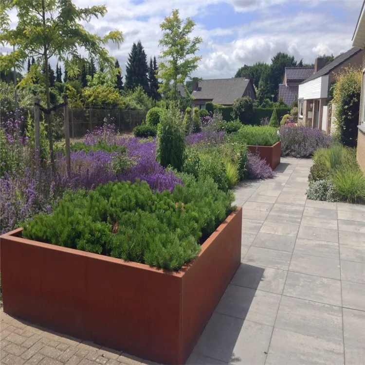 Corten Steel Rusted Metal Raised Vegetable Garden Grow Bed And Plant Containers Buy Heavy Duty