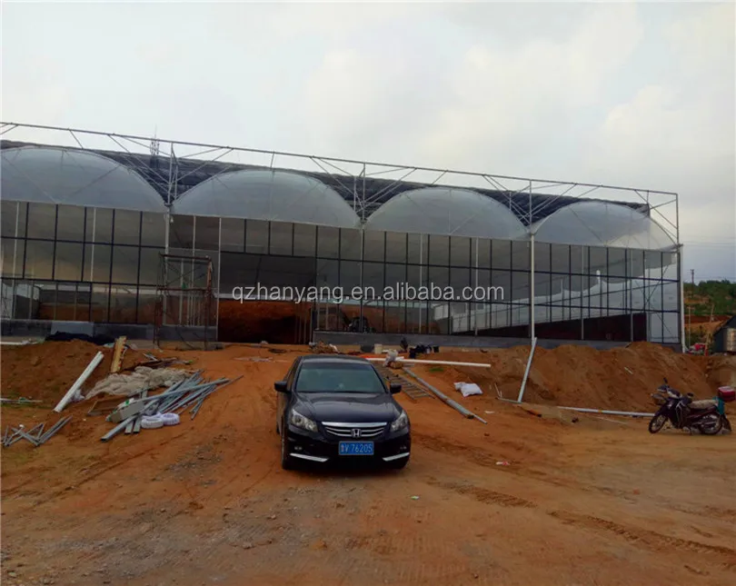 
easy installed Agricultural Plastic film Greenhouse project from China 