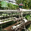 Home Use Easy Assemble Hydroponic Growing Systems A Frame Factory Supplying