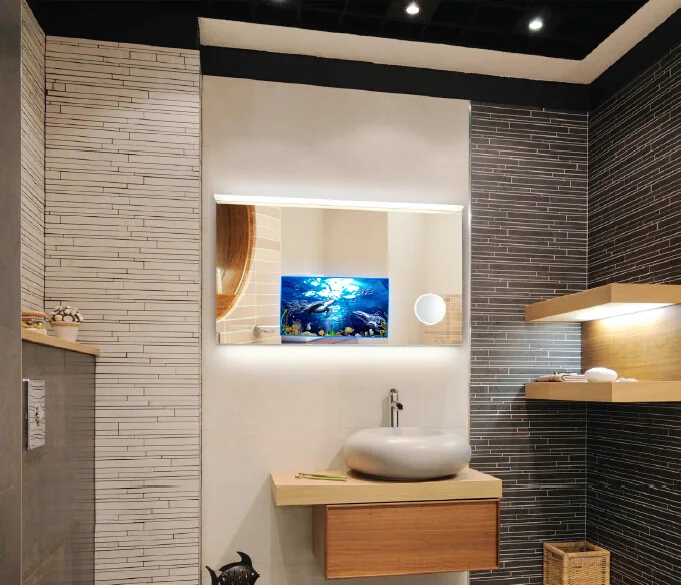 
Hot Sale Waterproof Bathroom LED Smart TV Mirror for Hotel 