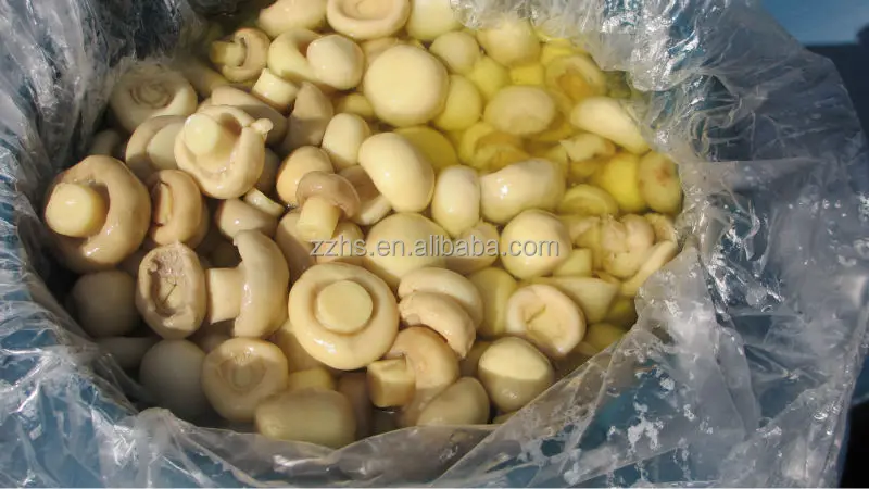 mushroom in drum_3604