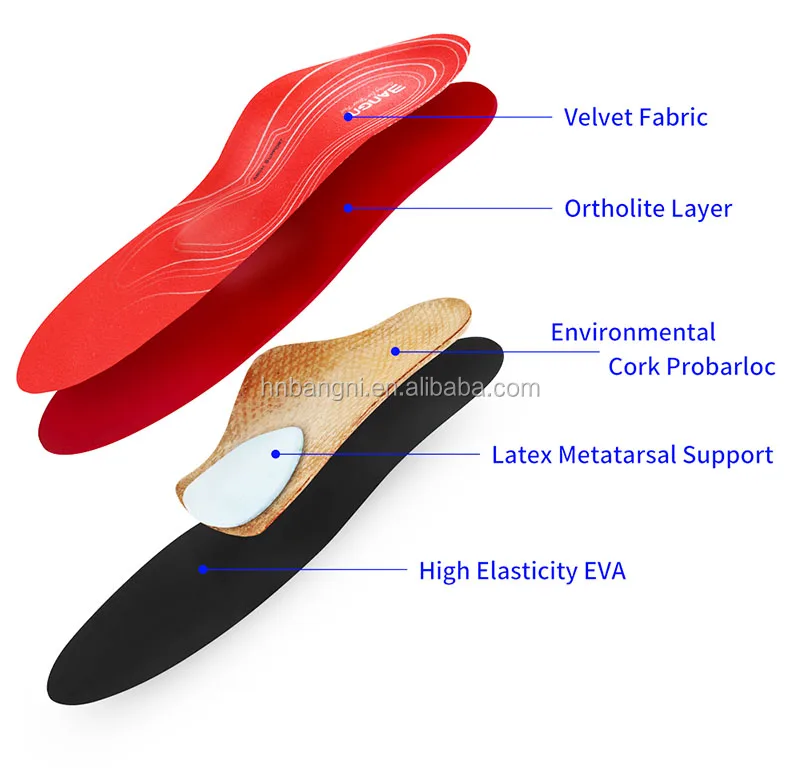 ortholite arch support