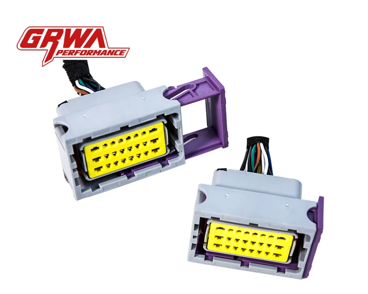 Electric Suction Door