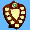Great Value Perpetual football woodend Shield plaque stand