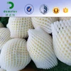 FDA Approval Free Sample Polythene Expanded Foam Food Grade Package Net For Fresh Fruits