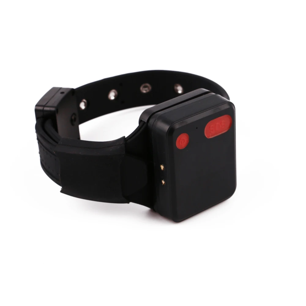 dog tracking watch