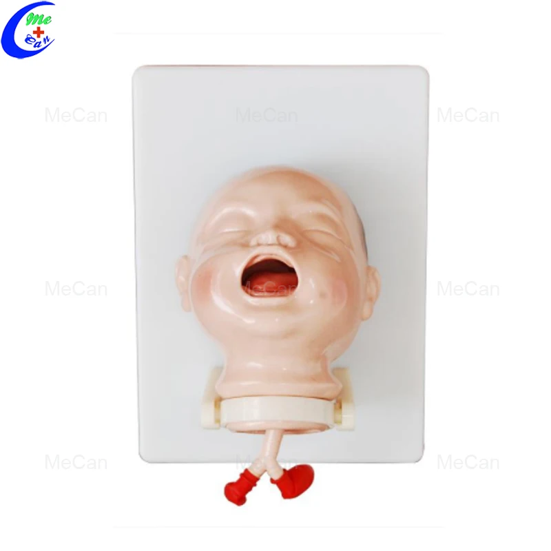 The Model of Newborn Intubation