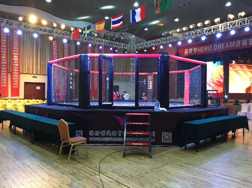 mma cage.png