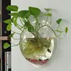 /product-detail/acrylic-hanging-wall-mount-fish-tank-bowl-vase-aquarium-60595538265.html