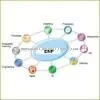 ERP Software development