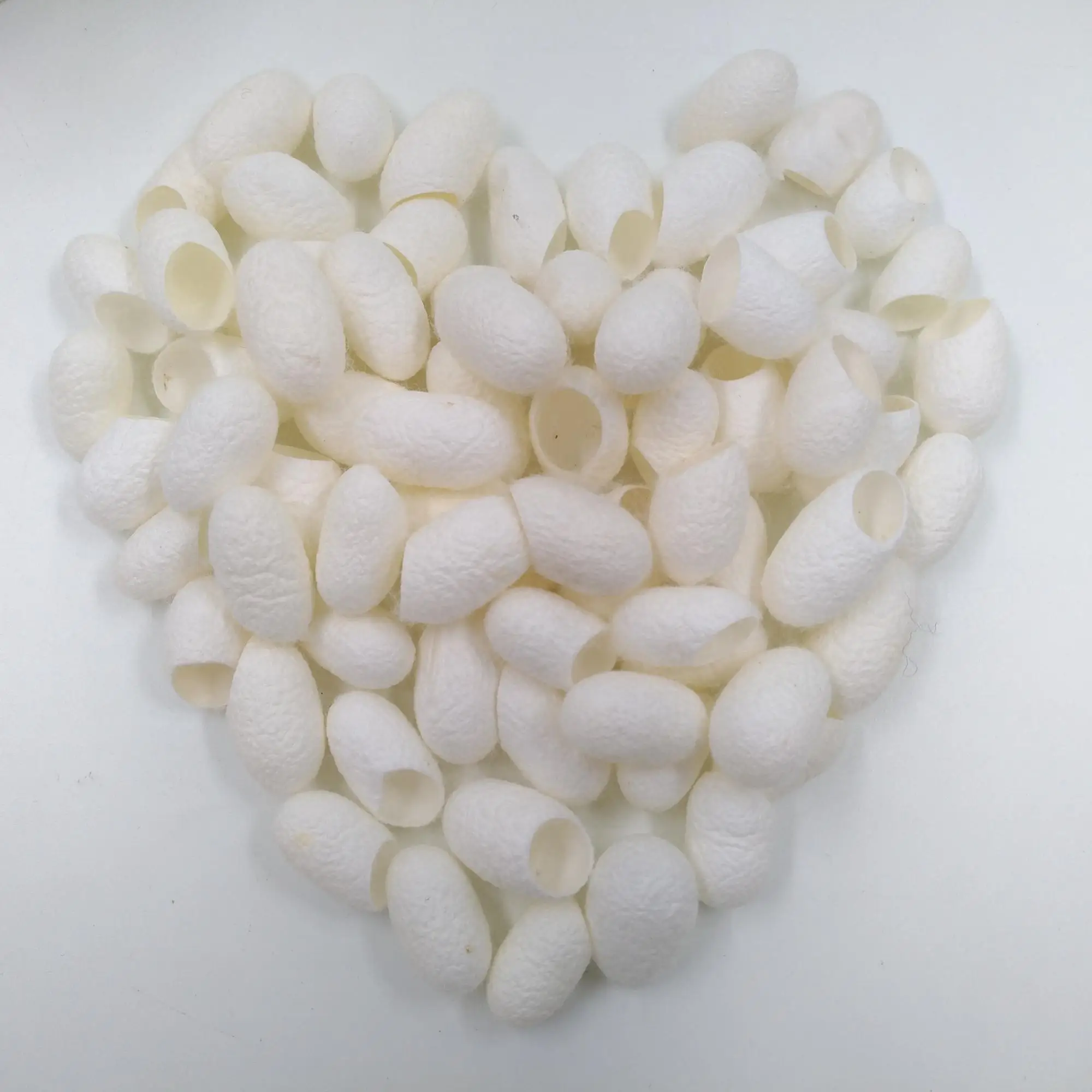 good quality silkworm cocoon for beautiful face