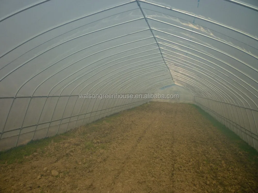 Fiberglass Chicken Shed Polytunnel Chicken Reinforced Plastic
